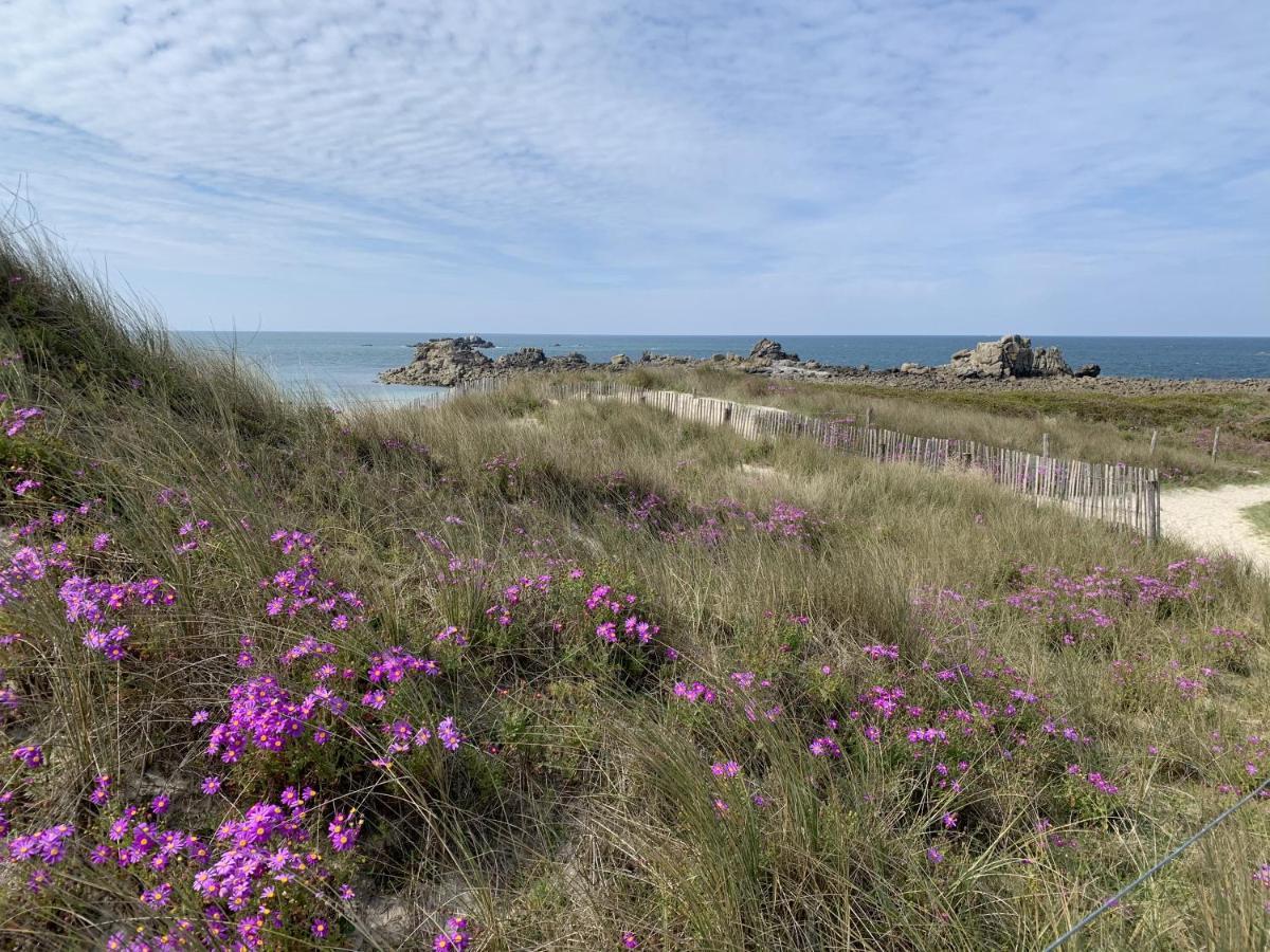 L'Escale 551, Gite Santec A 250M De La Plage Exteriör bild